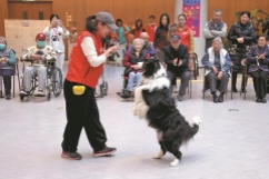 When dogs become therapists