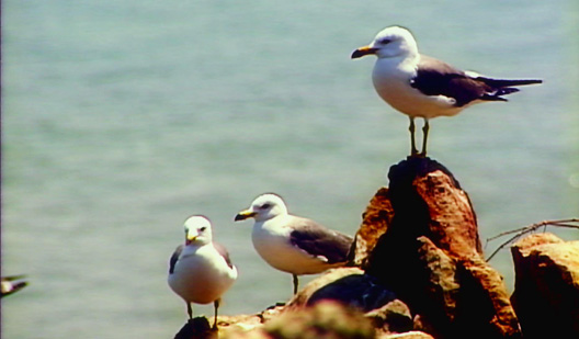 1483496471931036912.jpg 暴风截图2017141898828.jpg