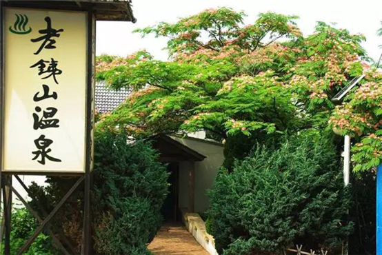 1491466272463067696.png 图片3_副本.png