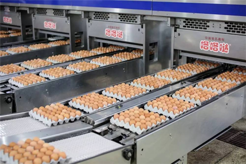 1505357987190017897.png 图片2_副本.png