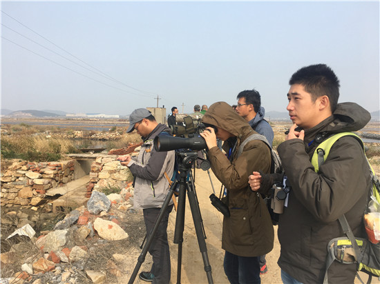 1508912531350055914.jpg 421360368032782762.jpg