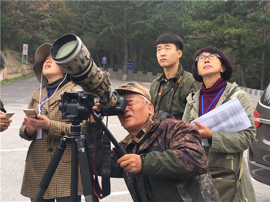 1508913265958025575.jpg 491955561379863739_副本.jpg