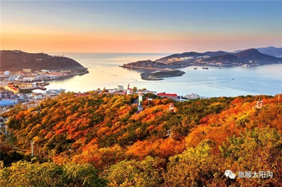 1516157495329070040.png 图片1_副本.png