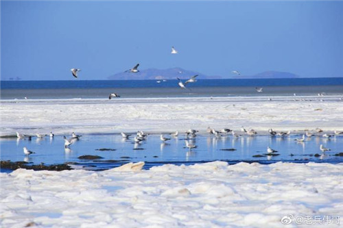 1517820736142080717.jpg 48e6afa9ly1fnwg2qheycj213z0qowjx_副本.jpg