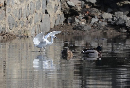 1519377262905097226.jpg 微信图片_20180223102043.jpg