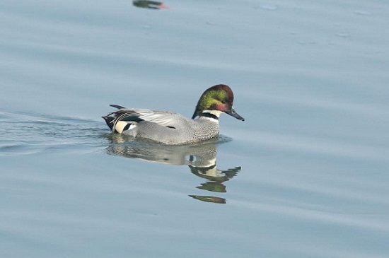 1519377269662086629.jpg 微信图片_20180223102051.jpg