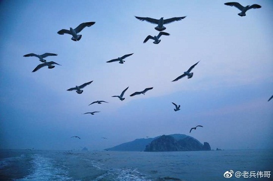 1532069970999005929.jpg 48e6afa9ly1ftbdjx3ep5j21400qoq7q.jpg