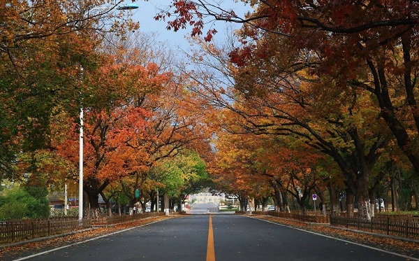 1538274303468007496.jpg 1.jpg