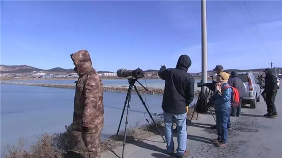 1550472080148049635.jpg 6_副本.jpg