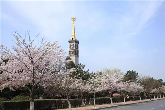 1553232930267092668.jpg 6_副本.jpg