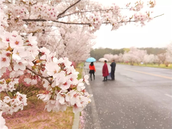 1553232946738020758.jpg 7_副本.jpg