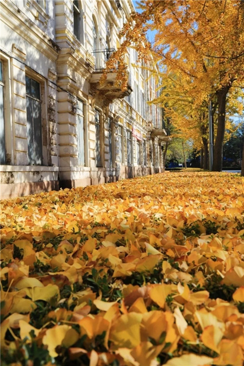 1572938826570046093.jpg 4_副本.jpg