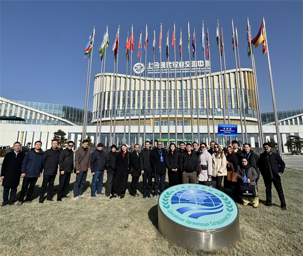 1765268361672040937.jpg 13.jpg