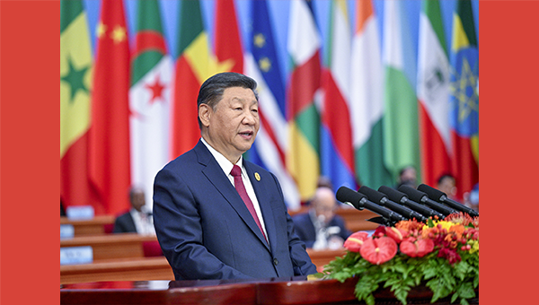 Xi proposes partnership actions to jointly advance modernization with Africa