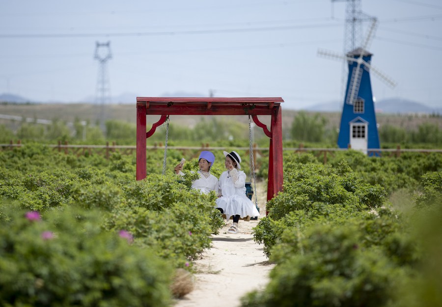 Ningxia’s Tongxin county: Rural tourism brings rosy life for farmers