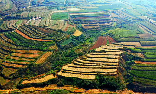 Colorful palette of autumn fields in Yantai