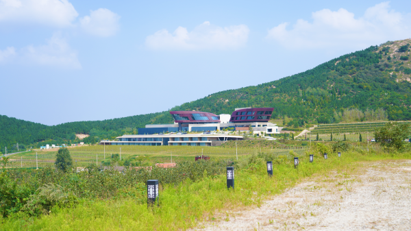 Penglai Qiushan Valley, place to experience wine culture