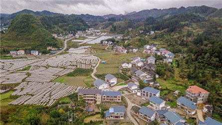 From barrenness to fruitfulness: Huamao village's story of ending poverty
