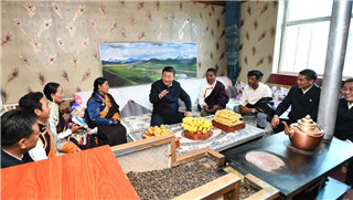 Xi inspects Gangcha County in Qinghai