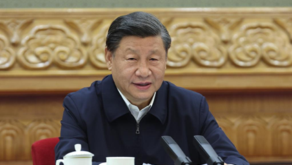 Xi stresses unity of Chinese at home, abroad to pool strength for rejuvenation