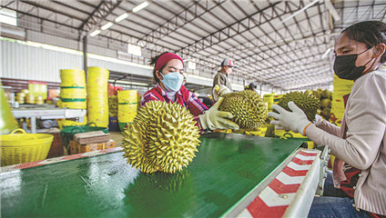 RCEP boosts trade, economic recovery of member states