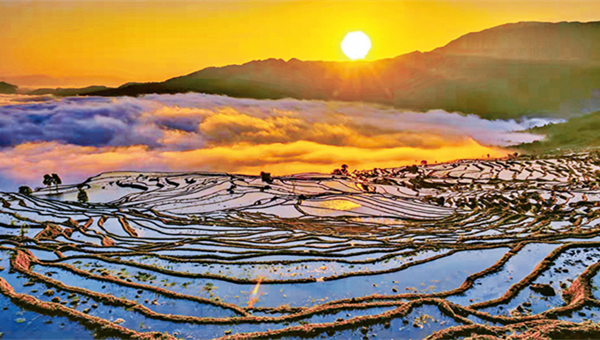 Prosperous Times on China's Hani Rice Terraces