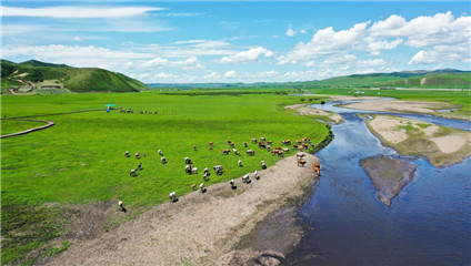 Inner Mongolia flourishing amid integrated ecological efforts