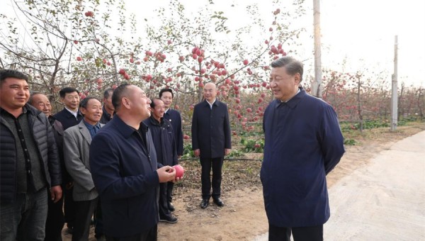 Xi stresses rural revitalization in inspections to Shaanxi, Henan
