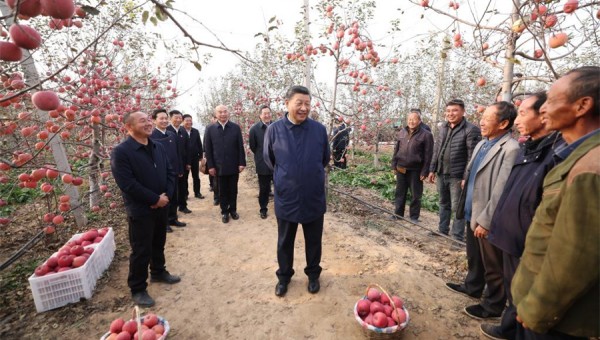 Xi Jinping stresses advancing rural revitalization across the board, urges ceaseless efforts to modernize agriculture and rural areas during inspection tours to Shaanxi's Yan'an, Henan's Anyang