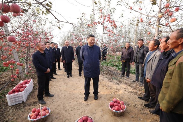 Xi Jinping stresses advancing rural revitalization across the board, urges ceaseless efforts to modernize agriculture and rural areas during inspection tours to Shaanxi's Yan'an, Henan's Anyang