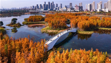 7 Chinese cities accredited as int'l wetland cities