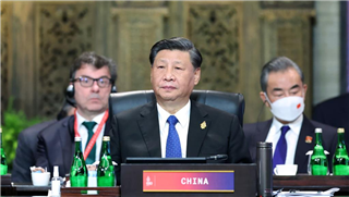 Xi calls for meeting challenges of the times together at G20 summit