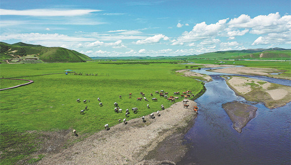 Ecoprotection efforts boost Inner Mongolia