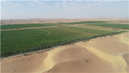 China, Arab states deepen cooperation on water conservation in agriculture
