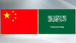 Xi replies to letter from representatives of Chinese language learners in Saudi Arabia