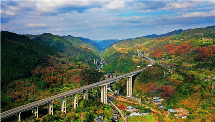 Chongqing vigorously develops green finance