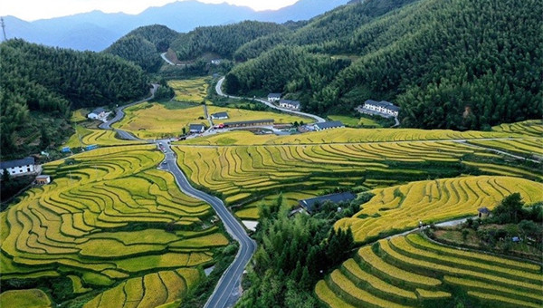 Ancient terraces in E China included on World Heritage Irrigation Structures List