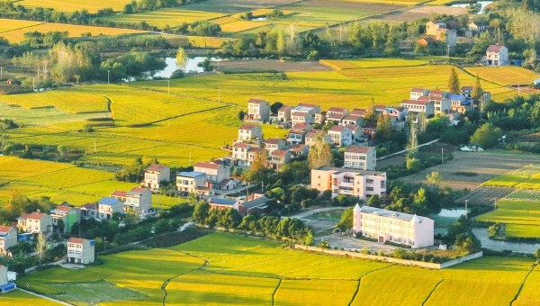 China issues No. 1 central document for 2023, highlights rural vitalization tasks