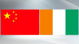 Xi, Cote d'Ivoire's president exchange congratulations on 40th anniversary of diplomatic ties