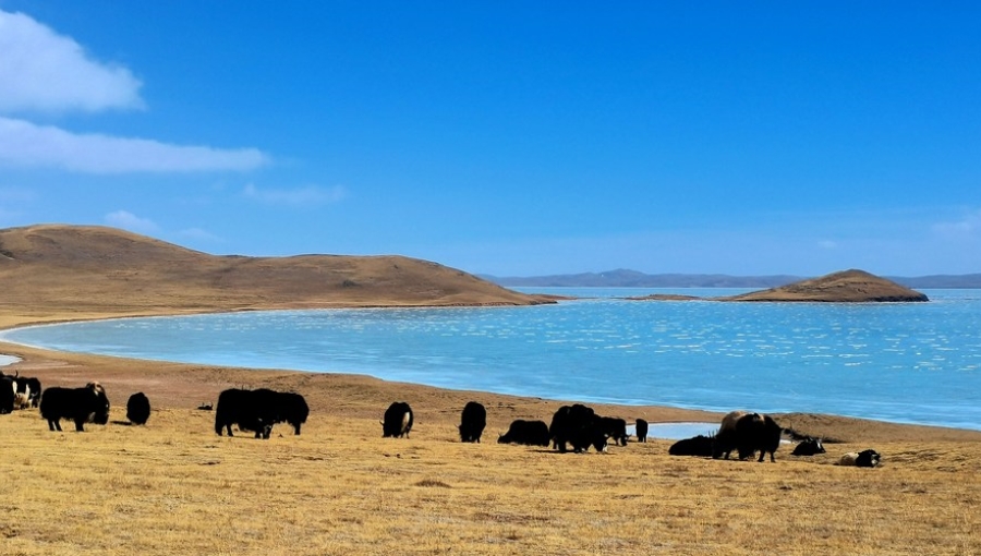 China uses technological innovations to strengthen water resources protection