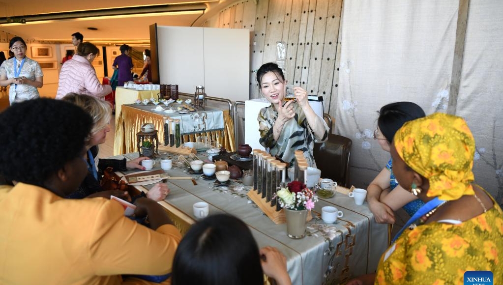 Chinese cultural event in Geneva promotes better understanding, mutual learning