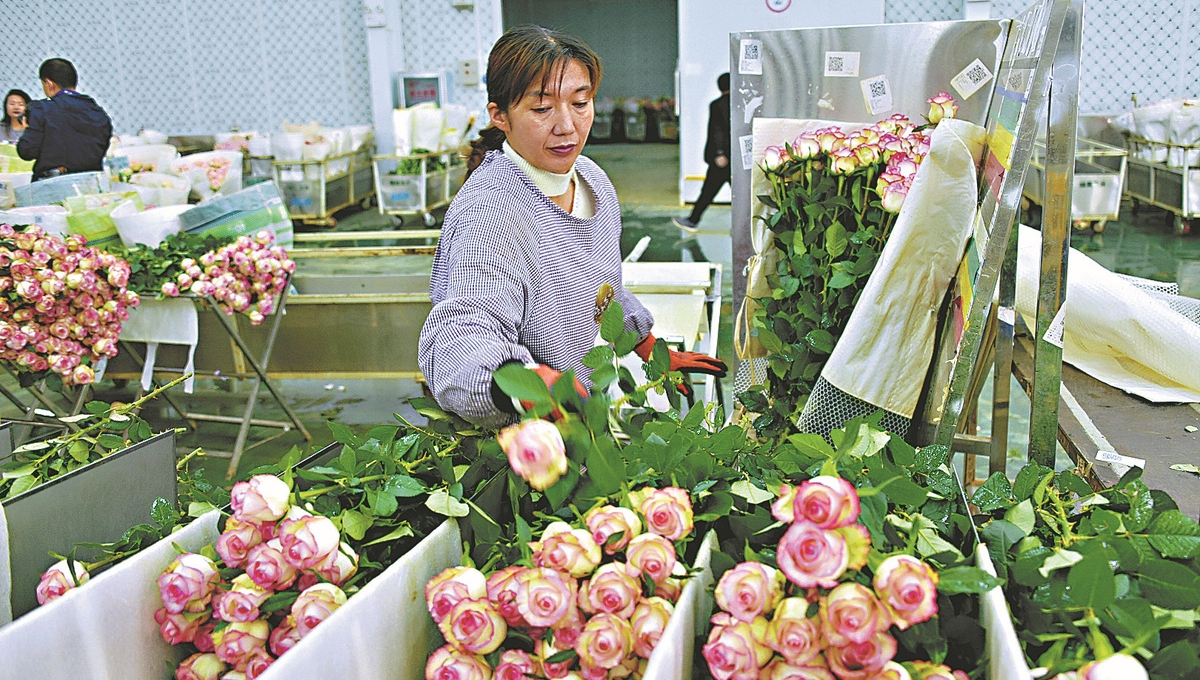 China aims to achieve annual flower sales of over $100b by 2035