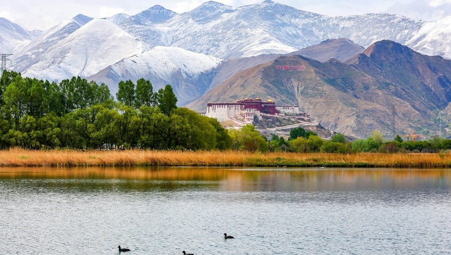 72 years on, Tibet steadfastly advances on path of Chinese modernization