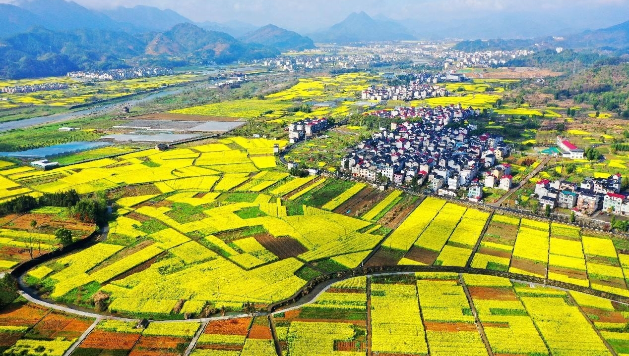 Zhejiang's green program gives new image to rural areas