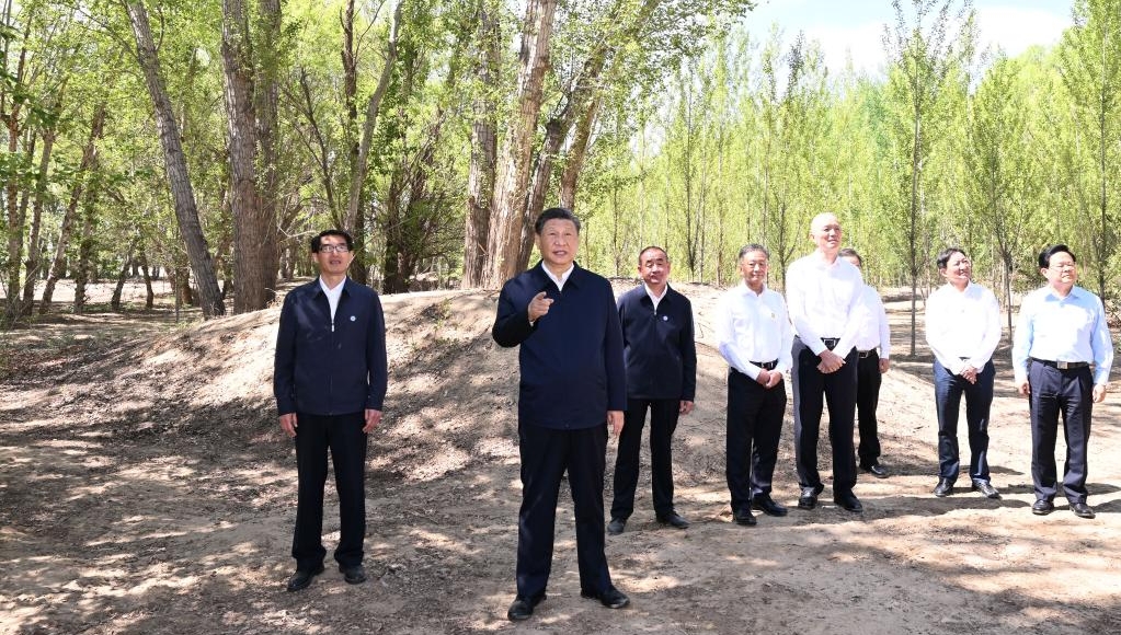 Xi urges sustained efforts to curb desertification