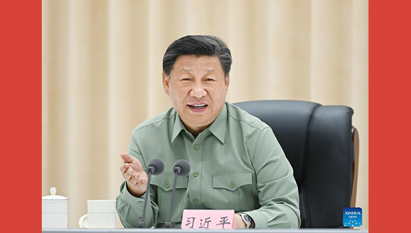 Xi urges troops to forge 