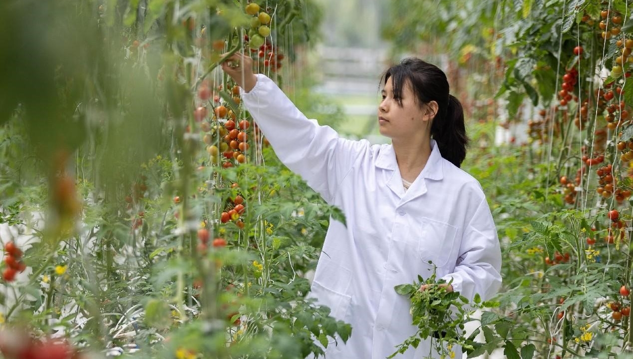 China's Zhejiang province boosts rural revitalization with intelligent agriculture