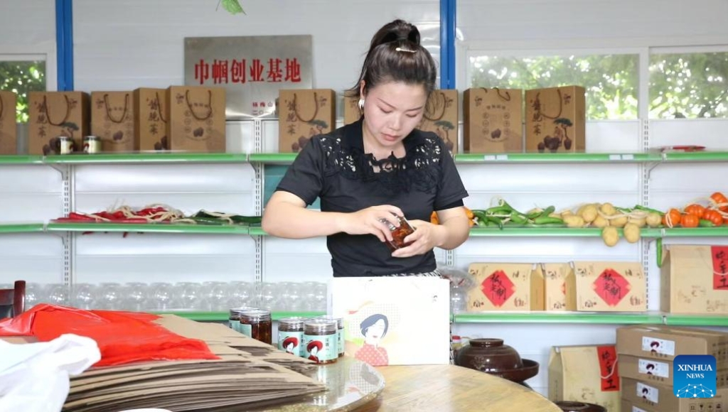 Entrepreneurial spirits thrive in China's rural landscape