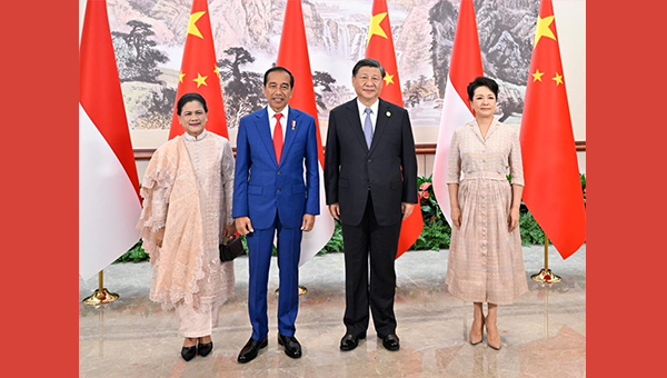 Xi meets Indonesian president