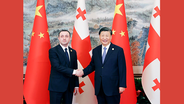 Xi meets Georgian prime minister